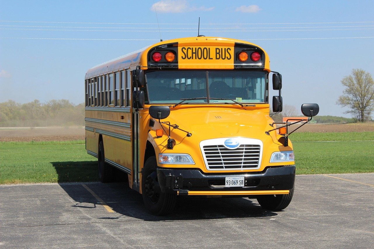 school bus, bus, parking area, vehicle, transportation, parking lot, usa, school bus, school bus, school bus, school bus, school bus